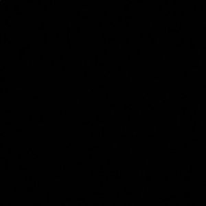 Meet your Posher, Simone